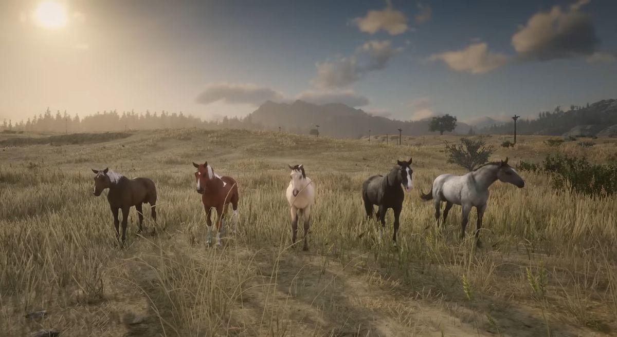 Лошади в Red Dead Redemption 2 — какая лучшая, где поймать, где купить в  РДР 2, Ред Дед Редемпшен 2