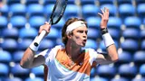 Рублев проиграл Чиличу и вылетел из Australian Open на стадии 1/16 финала