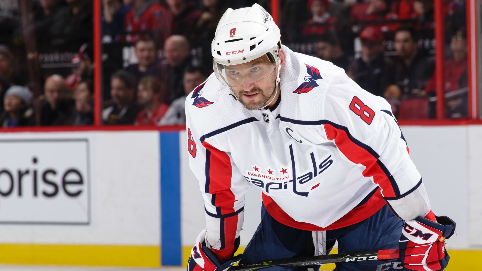 теннисист зверев хачанов. александр овечкин. кристиан пулишич. овечкин канада. александр овечкин 2002.