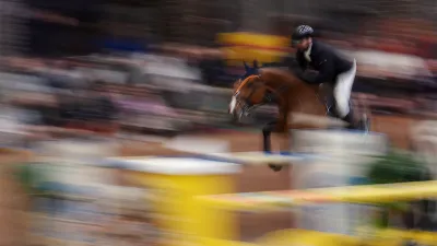 Конный спорт