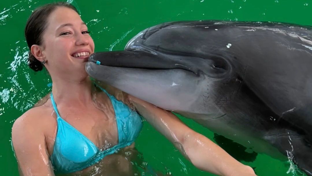 В России дельфин пытался раздеть олимпийскую чемпионку: Это было неожиданно