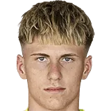 Харальд Постль