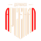 Арсенал Дз