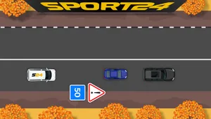 Этот вопрос экзамена в ГАИ смущает даже опытных водителей: все из-за редкого знака