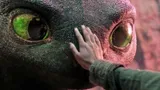 Посмотрела ремейк мультфильма «Как приручить дракона»: искала 10 отличий и останусь верна оригиналу