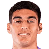 Хулиан Виньоло