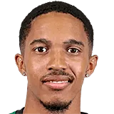 Антонио ван Вик