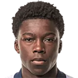 Стефен Тчамче