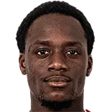 Муджатовик