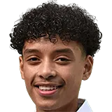 Йисмерай Диллема