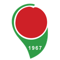 Амасьяспор