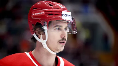 Николай Голдобин
