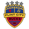 Флинт Сити Бакс
