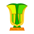 Атлетико Пальмафлор