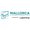 ATP 250. Мальорка