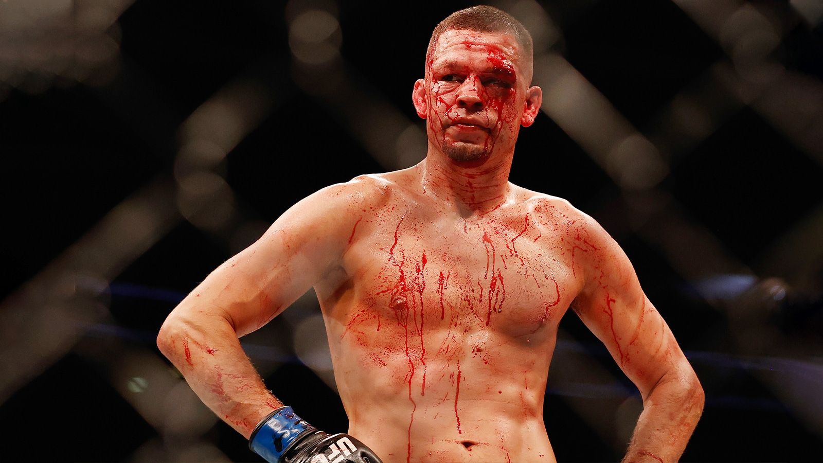 Nate diaz fighting