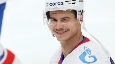 Николай Голдобин