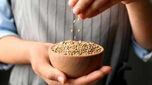 Добавляю эти семена в каши, творог и салаты: всего одна ложка восполняет дефициты необходимых микроэлементов