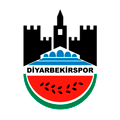 Диярбекирспор
