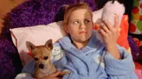 6 фильмов, в которых собака — лучший друг человека