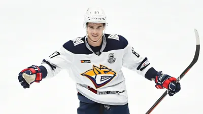 Николай Голдобин