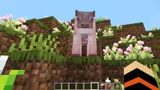 Топовые моды на биомы для Minecraft: добавляем новые локации в игру