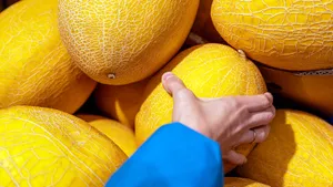 Как выбрать вкусную и сладкую дыню: пользуюсь этими советами много лет