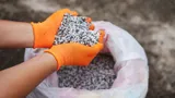 Каждый август сажаю сидераты в огороде: от них зависит ваш урожай, хотя многие дачники даже не знают это слово