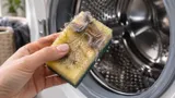 Кладу губку для посуды в стиральную машину: услышала совет в химчистке — вещи стали чище