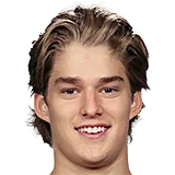 Денвер Барки