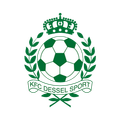 Дессель Спорт