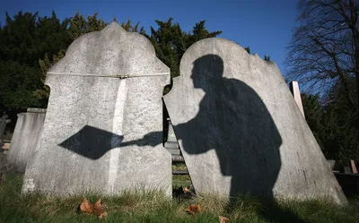 ФК Динамо Москва, ФК Торпедо Москва