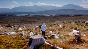 Мутанты, мусорные острова, Путин и климат. Зачем идти на эковыставку в «Гараж»