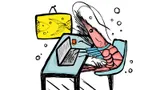 5 простых упражнений, которые помогут не превратиться в креветку от постоянного сидения за компьютером