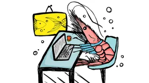 5 простых упражнений, которые помогут не превратиться в креветку от постоянного сидения за компьютером