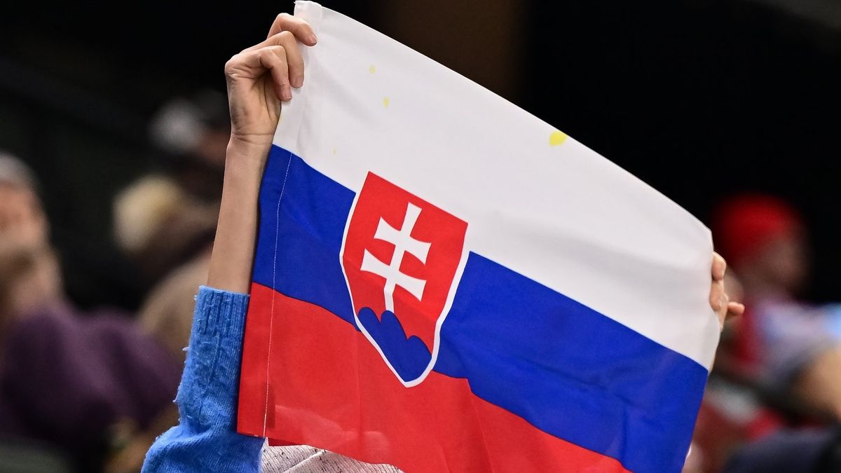 Полиция Италии смогла вычислить и арестовать преступника после 16 лет бегства: он въехал в страну ради хоккея на ОИ