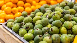 Поддерживает щитовидку, защищает от простуд, улучшает мозговую деятельность — чем полезна фейхоа