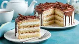 Этот забытый торт в СССР готовили к праздникам, а сейчас про него никто не знает: рецепт «Космоса»