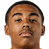 Тристан Браун