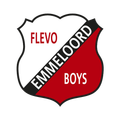 Флево Бойз