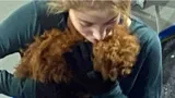 Косторная — о новой собаке Тутберидзе: «Очень помогает спортсменам снять стресс и напряжение»