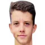 Матей Додиг