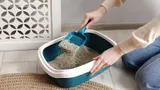 Пачками скупаю наполнитель, хотя кошки у меня нет: есть другое применение — незаменим в быту
