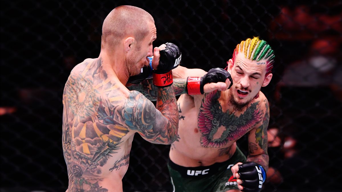 О’Мэлли удивлен гонораром боксера в лиге Дэйны Уайта: «Я ни разу о нем не слышал»