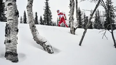 Евгения Крупицкая