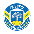 Сокол Брезовица