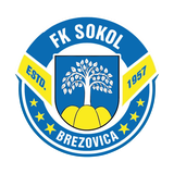 Сокол Брезовица