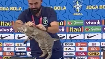 Сборная Бразилии по футболу