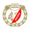 Видзев-2