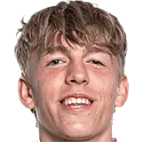 Николас Веркойен